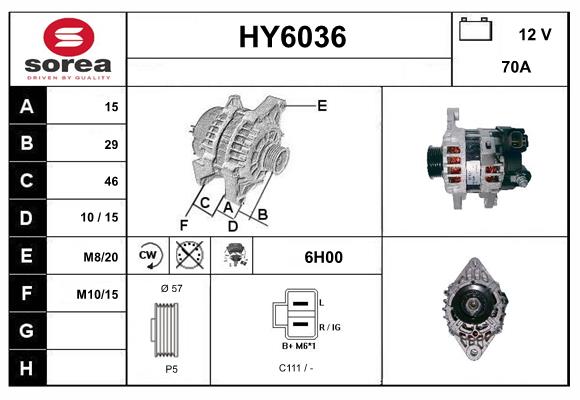 HY6036