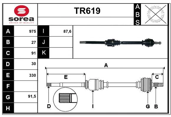 TR619