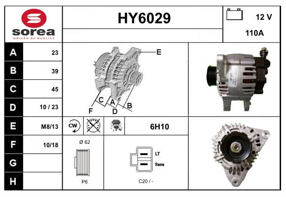 HY6029