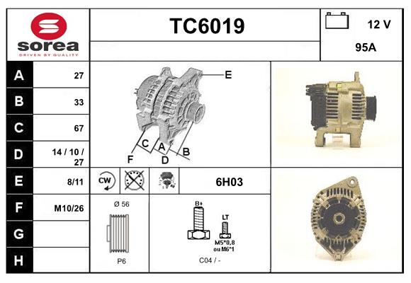TC6019