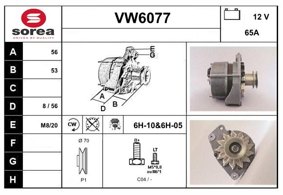 VW6077