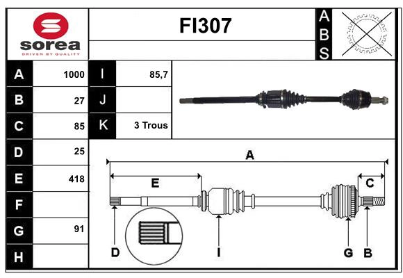 FI307