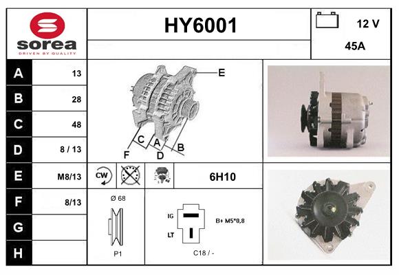 HY6001