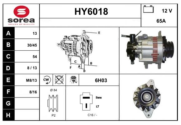 HY6018