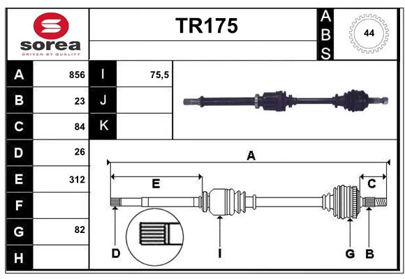 TR175