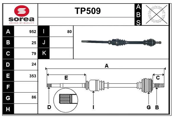 TP509