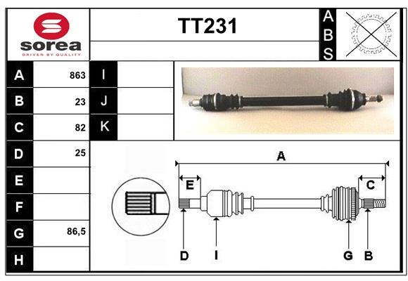 TT231