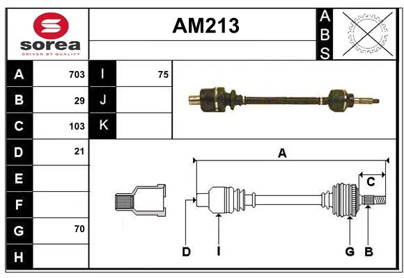 AM213