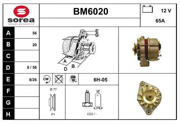 BM6020