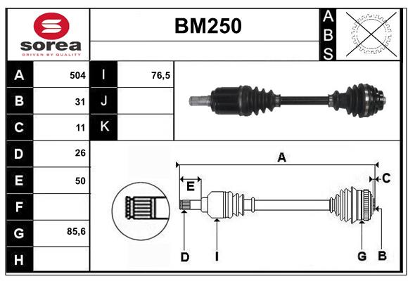 BM250