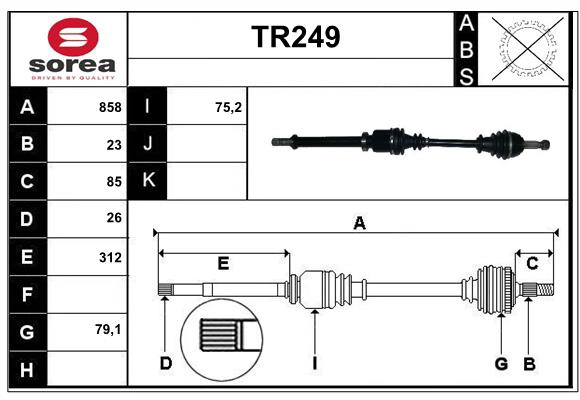 TR249