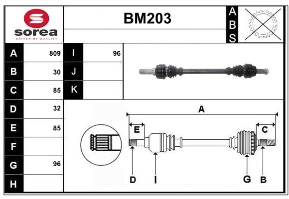 BM203