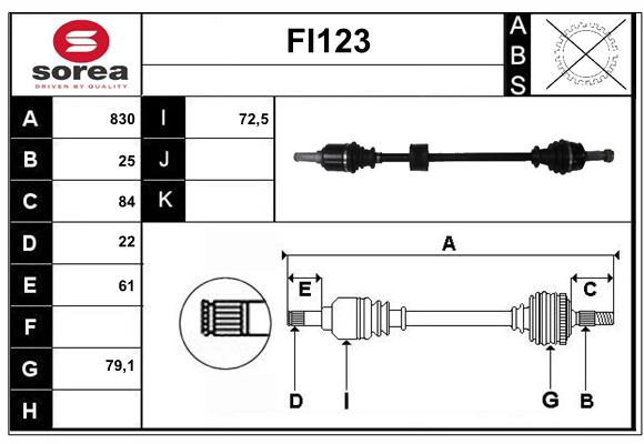 FI123