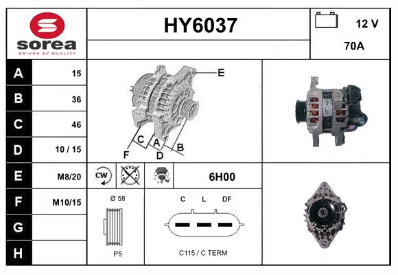HY6037