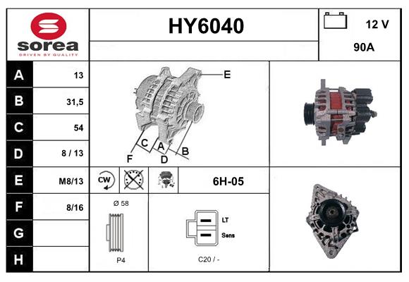 HY6040