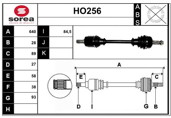 HO256