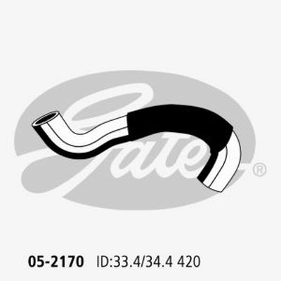 13117572