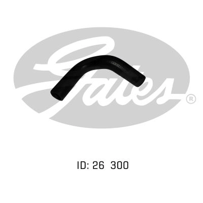 050753