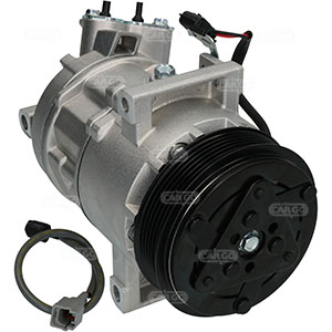 241954