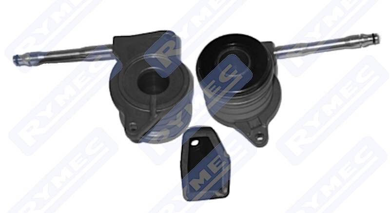 CSC010530
