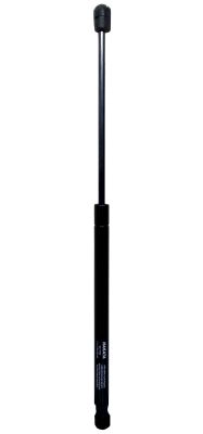 MG 17232