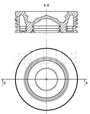 WG2201294