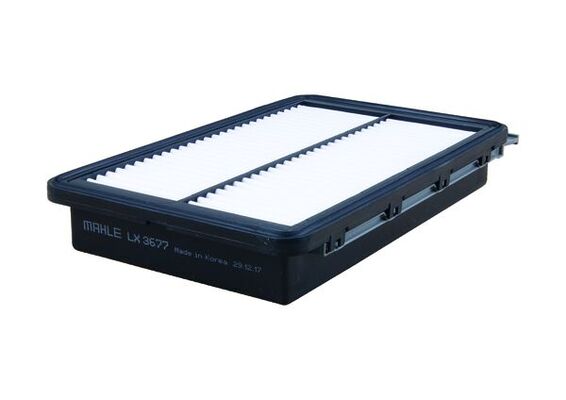 WG1916638