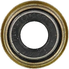 WG1004664