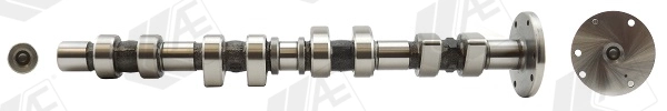 WG1171920
