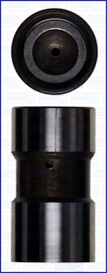 WG1009698