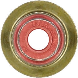 WG1004675