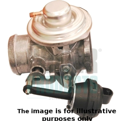 WG1966137