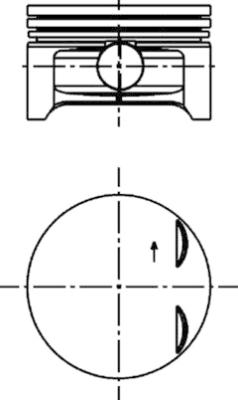 WG1016576