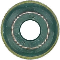 WG1004635