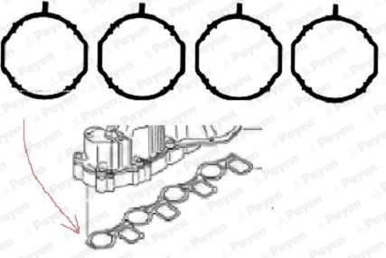 WG1497655