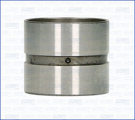 WG1009687