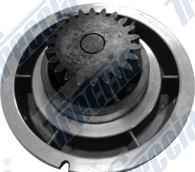 WG1920817
