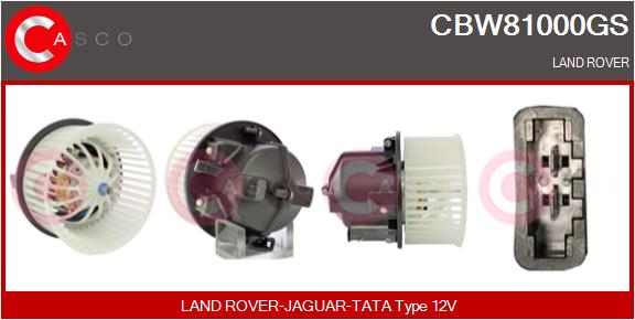 CBW81000GS