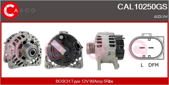 CAL10250GS