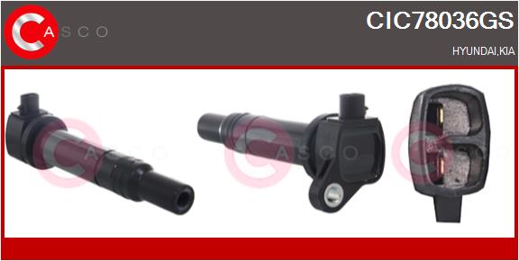 CIC78036GS