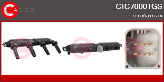 CIC70001GS