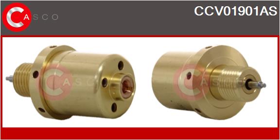 CCV01901AS