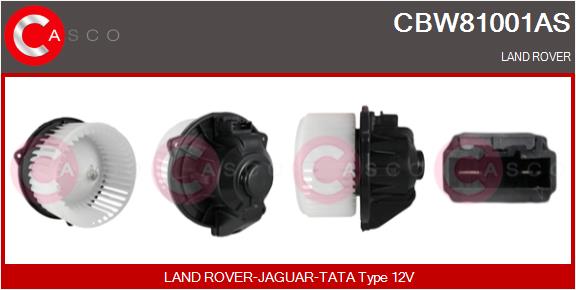 CBW81001AS