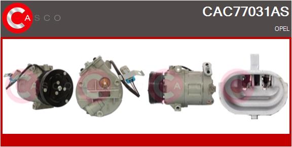 CAC77031AS