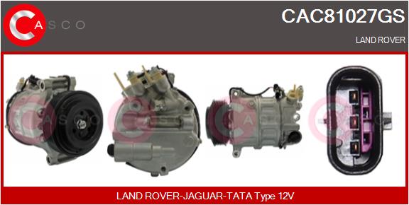 CAC81027GS