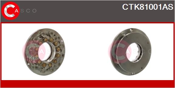 CTK81001AS