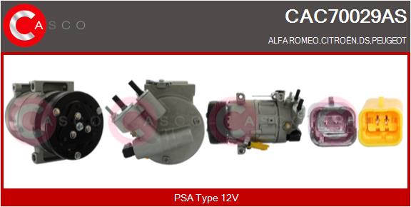 CAC70029AS