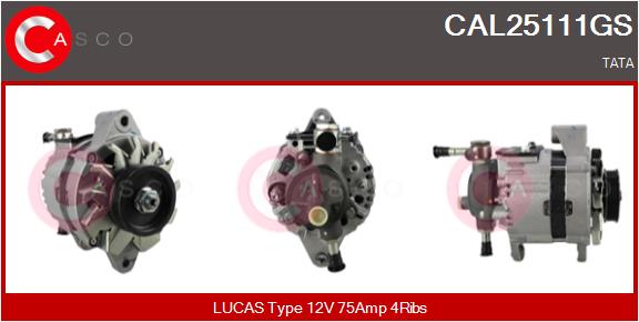 CAL25111GS