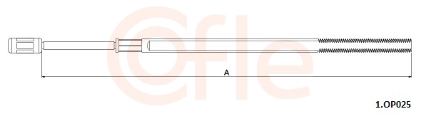 1.OP025