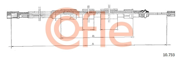 10733